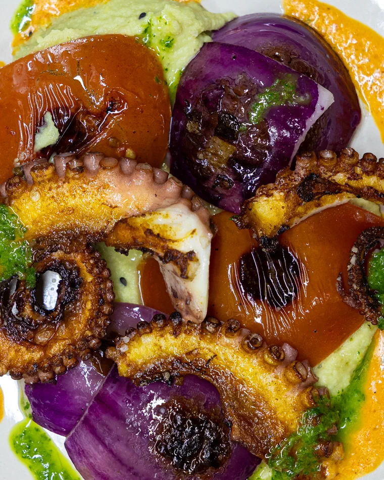 Pulpo dorado sobre crema verde y cebolla morada asada, fotografía gastronómica en Valparaíso