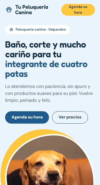 Así se ve en un teléfono la plantilla de Cuidado de cuatro patas